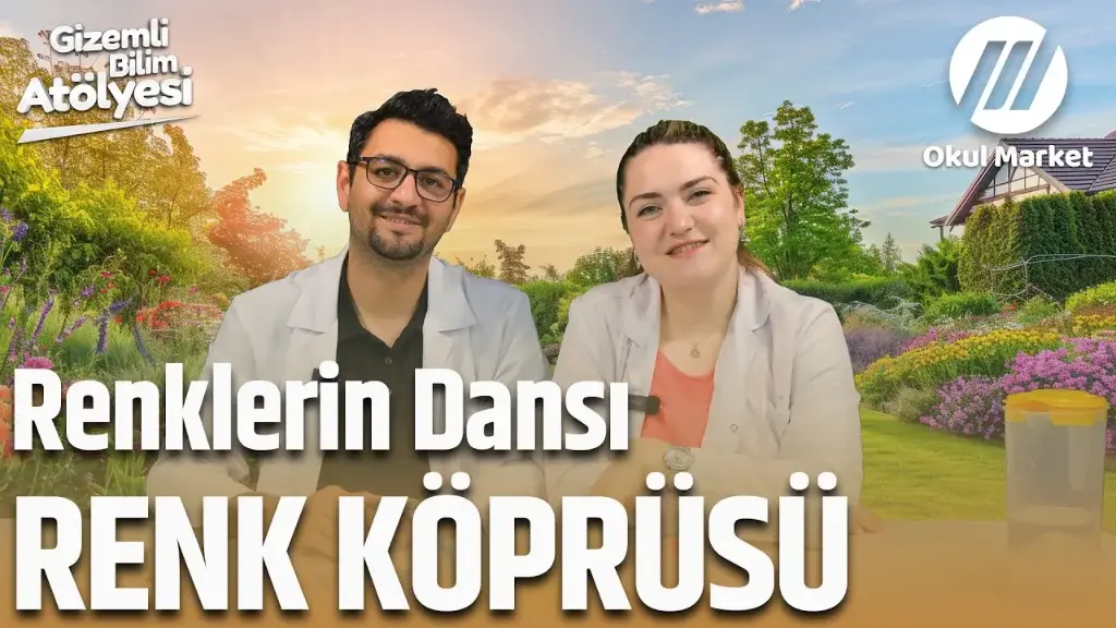 Renklerin Dansı: Süt ve Deterjan Deneyi