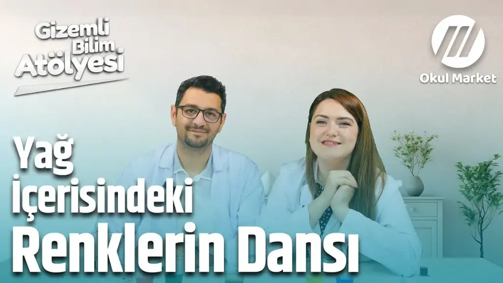 Renklerin Dansı